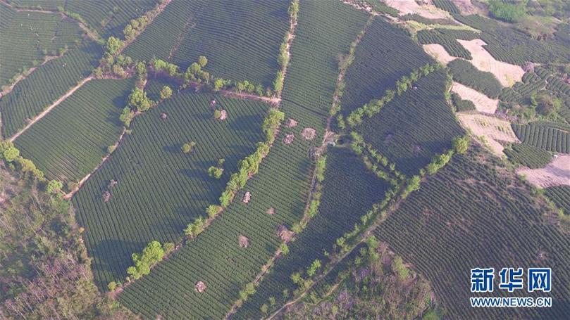 (兩會(huì)前夕看落實(shí)·圖文互動(dòng))(9)綠色發(fā)展引領(lǐng) 守護(hù)“魚(yú)米之鄉(xiāng)”——江蘇落實(shí)習(xí)近平總書(shū)記全國(guó)兩會(huì)重要講話(huà)精神紀(jì)實(shí)