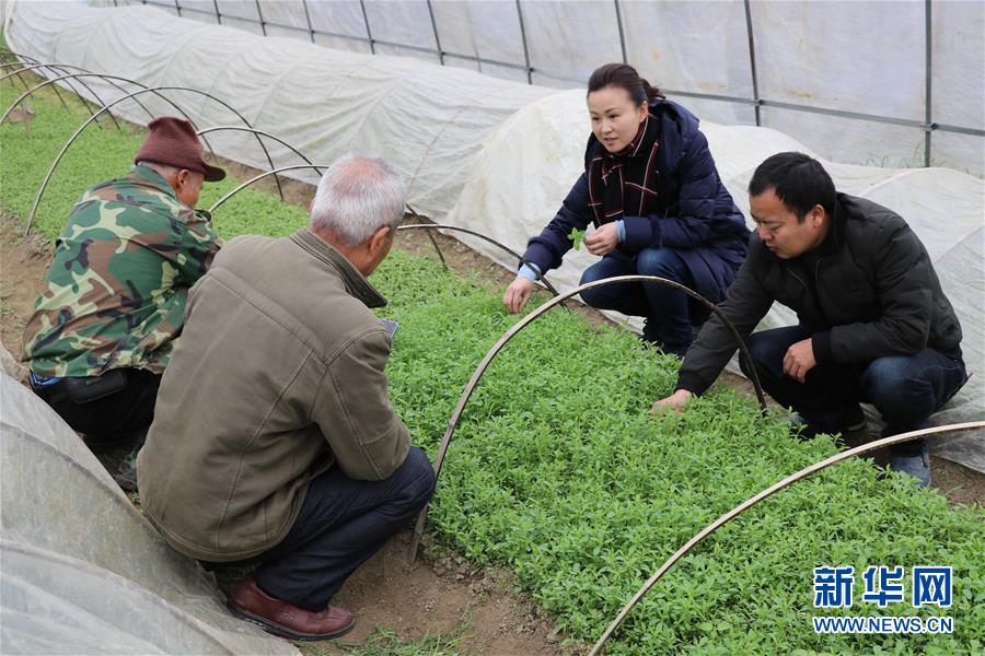 (兩會(huì)前夕看落實(shí)·圖文互動(dòng))(1)奮力脫貧攻堅(jiān) 生態(tài)追“清”逐“綠”——江西落實(shí)習(xí)近平總書(shū)記全國(guó)兩會(huì)重要講話精神紀(jì)實(shí)