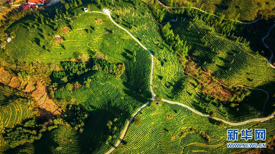 (兩會(huì)前夕看落實(shí)·圖文互動(dòng))(5)奮力脫貧攻堅(jiān) 生態(tài)追“清”逐“綠”——江西落實(shí)習(xí)近平總書(shū)記全國(guó)兩會(huì)重要講話精神紀(jì)實(shí)