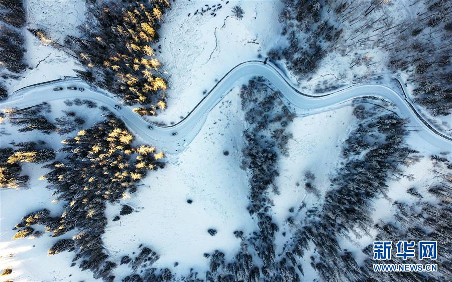 (兩會前夕看落實·圖文互動)(6)牢記囑托增進民族團結 凝心聚力建設美麗新疆——新疆落實習近平總書記全國兩會重要講話精神紀實