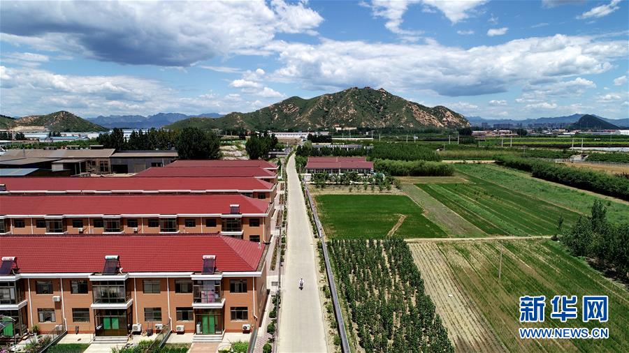 (新華全媒頭條·圖文互動(dòng))(5)承諾有“干貨” 落實(shí)有“硬招”——“全國兩會(huì)部長通道”上承諾踐行情況掃描