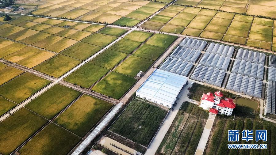 （新華全媒頭條·愛國(guó)情 奮斗者·圖文互動(dòng)）（8）一個(gè)村的奮斗，一個(gè)時(shí)代的巨變——記敢“蹚新路”的小崗人