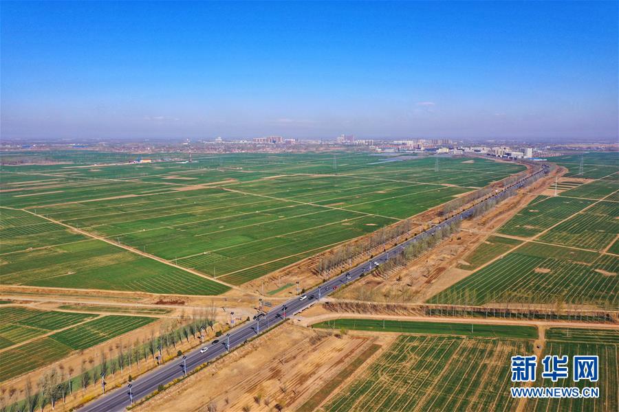 （新華全媒頭條·圖文互動(dòng)）（2）奮進(jìn)，向著未來之城！——河北雄安新區(qū)建設(shè)發(fā)展兩周年紀(jì)實(shí)