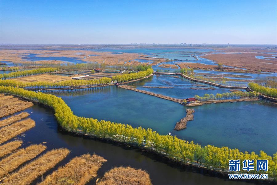 （新華全媒頭條·圖文互動(dòng)）（5）奮進(jìn)，向著未來之城！——河北雄安新區(qū)建設(shè)發(fā)展兩周年紀(jì)實(shí)