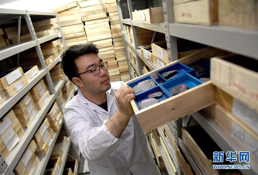 (新華全媒頭條·圖文互動(dòng))(4)探尋5億年前“生命大爆炸”之奧秘——中國科學(xué)家發(fā)現(xiàn)寒武紀(jì)“化石寶庫”清江生物群紀(jì)實(shí)