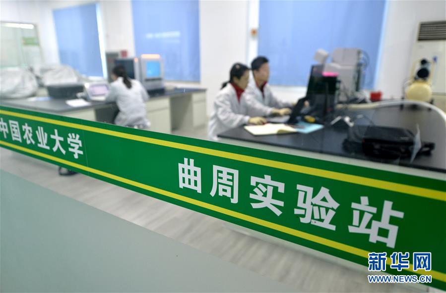 （愛國情 奮斗者·圖文互動）（3） “解民生之多艱，育天下之英才”——中國農大師生扎根田野書寫奉獻之歌