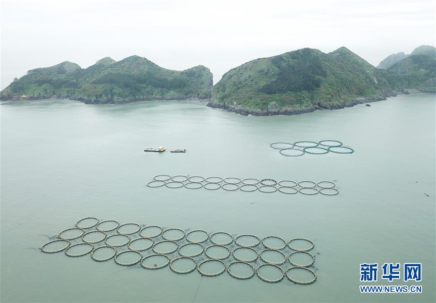 (壯麗70年·奮斗新時(shí)代·圖文互動(dòng))(2)“東海明珠”挺立一座“精神燈塔”——追尋浙江臺(tái)州大陳島墾荒精神