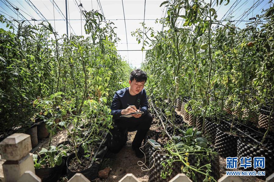 (新華全媒頭條·圖文互動(dòng))(5)青春萬(wàn)歲 強(qiáng)國(guó)有我