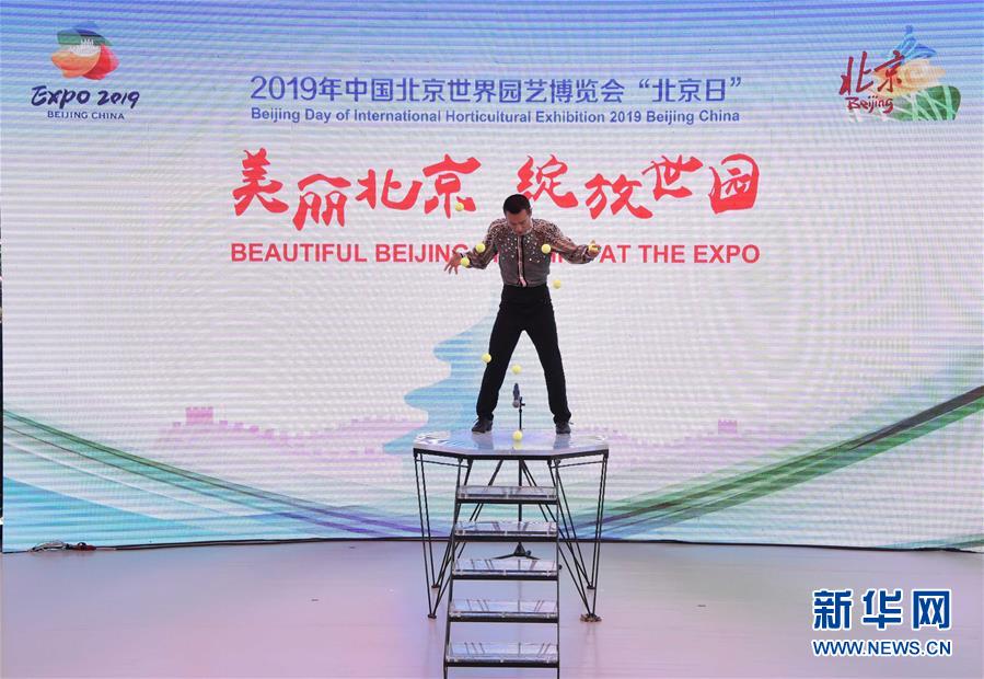 (北京世園會)(2)北京世園會迎來“北京日”
