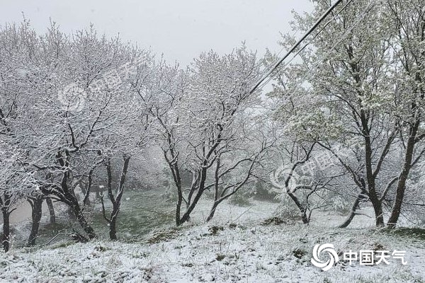 冷空氣要撤啦！今日全國降水整體弱 華南仍有強(qiáng)對流