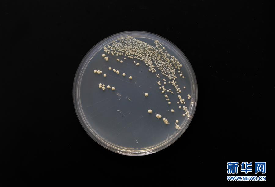 (新華全媒頭條·圖文互動(dòng))(6)“兩個(gè)一公里”的創(chuàng)新答案——上海全力建設(shè)全球科創(chuàng)中心紀(jì)實(shí)