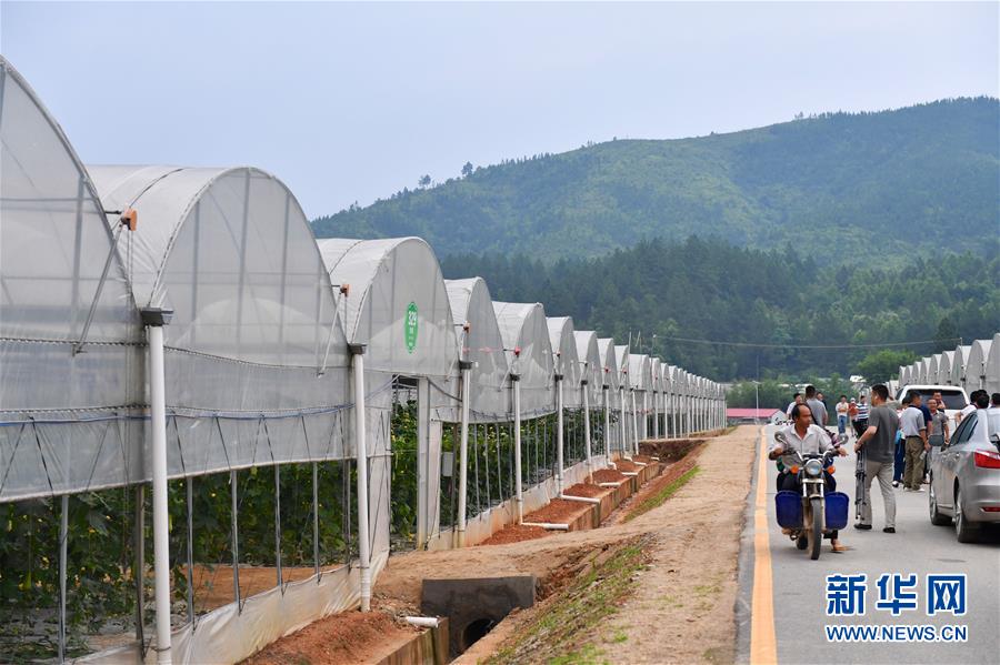 (新華全媒頭條·圖文互動)(6)奮力走好新時代的長征路——習(xí)近平總書記考察江西回訪記