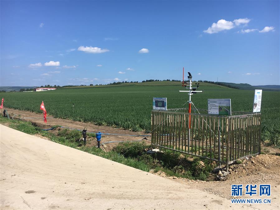 (在習近平新時代中國特色社會主義思想指引下——新時代新作為新篇章·圖文互動)(3)牡丹江:小果蔬透著三種“范兒”