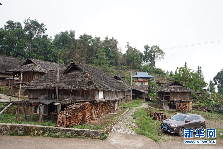 (直過民族脫貧攻堅(jiān)·圖文互動(dòng))(6)“人類童年·西盟佤部落”成長記