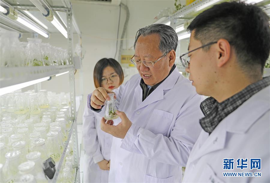 (新華全媒頭條·圖文互動(dòng))(1)和蔬菜“說話”的人——中國(guó)工程院院士李天來的“棚菜人生”