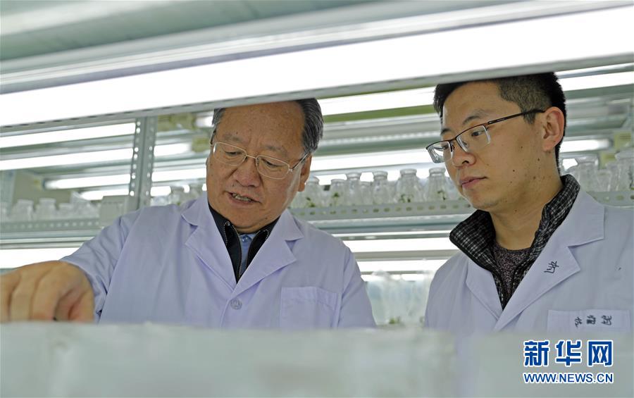 (新華全媒頭條·圖文互動(dòng))(2)和蔬菜“說話”的人——中國(guó)工程院院士李天來的“棚菜人生”