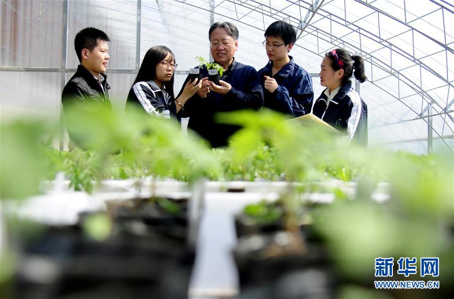 (新華全媒頭條·圖文互動(dòng))(7)和蔬菜“說話”的人——中國(guó)工程院院士李天來的“棚菜人生”