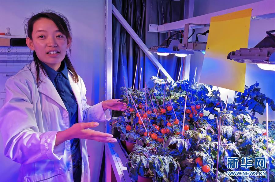 (愛國情 奮斗者·圖文互動)(4)池建義團(tuán)隊:把論文寫在產(chǎn)品上