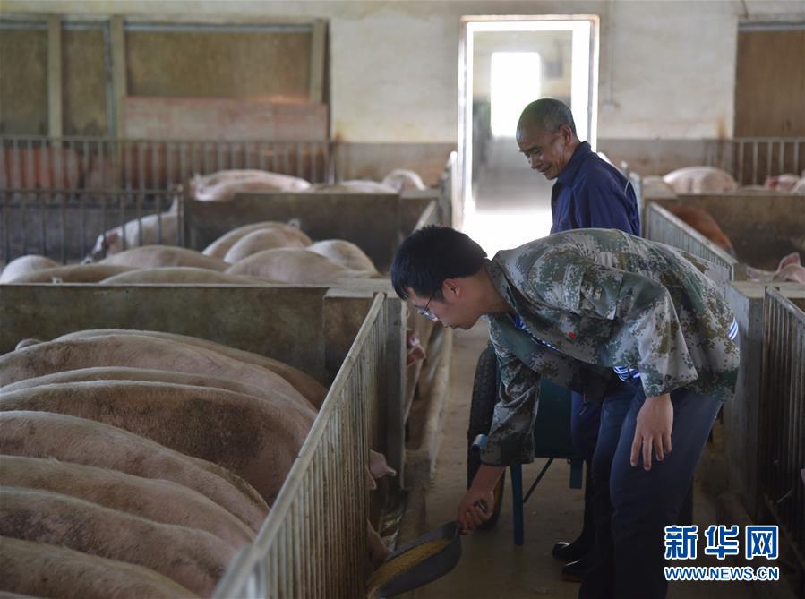 (新華全媒頭條·圖文互動(dòng))(2)咱們村里的年輕人——記奮戰(zhàn)在貴州脫貧攻堅(jiān)一線的青年