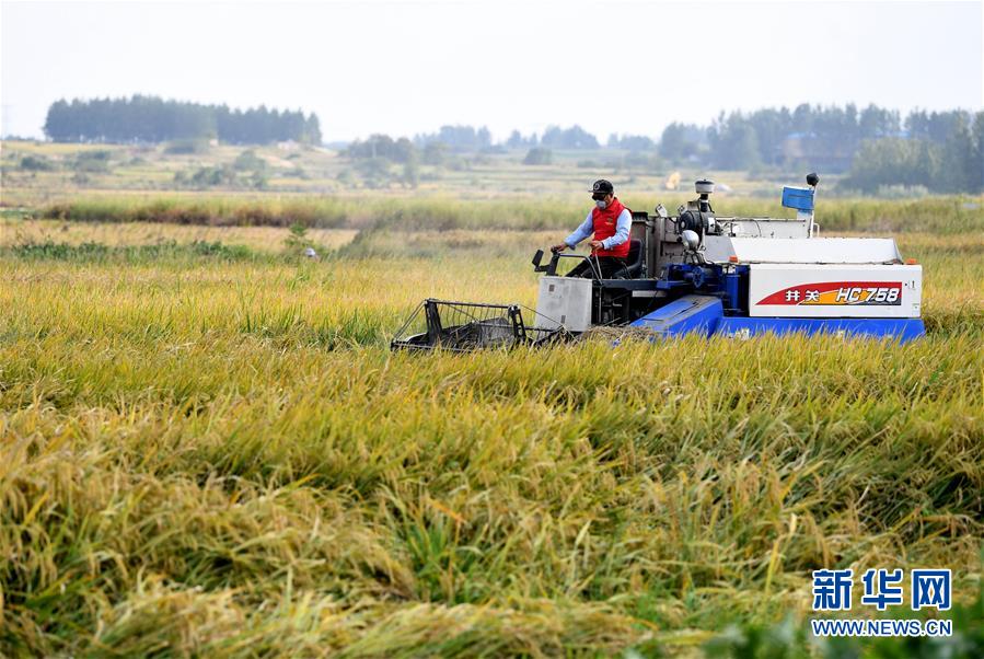 (壯麗70年·奮斗新時(shí)代——共和國發(fā)展成就巡禮·圖文互動)(3)安徽70年:改革創(chuàng)新書寫時(shí)代答卷