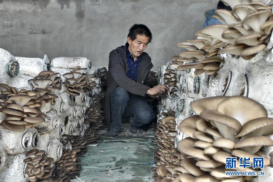 (脫貧攻堅(jiān)·圖文互動)(3)東達(dá)村脫貧記