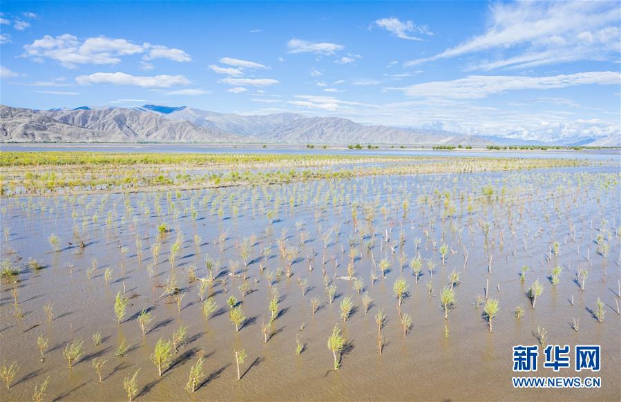 （壯麗70年&middot;奮斗新時(shí)代&mdash;&mdash;共和國發(fā)展成就巡禮&middot;圖文互動(dòng)）（9）人間奇跡在高原&mdash;&mdash;新中國成立70年西藏發(fā)展成就紀(jì)實(shí)