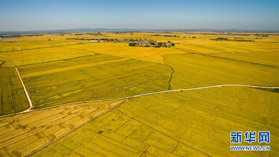 (在習(xí)近平新時(shí)代中國特色社會(huì)主義思想指引下——新時(shí)代新作為新篇章·圖文互動(dòng))(2)吉林萬昌現(xiàn)代農(nóng)業(yè)發(fā)展先導(dǎo)區(qū)“三變”