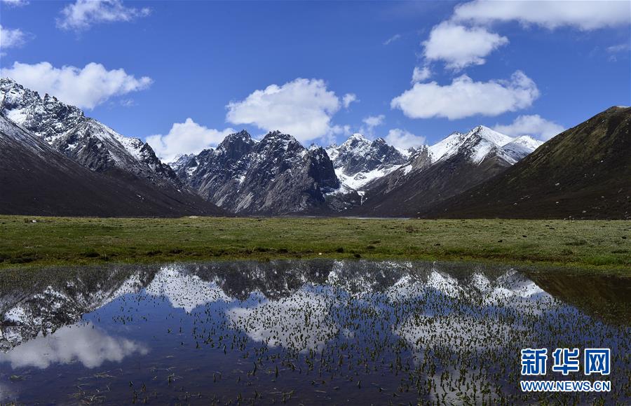 （今日關(guān)注&middot;第一屆國家公園論壇&middot;圖文互動）（6）首個國家公園什么樣？專家?guī)阆?ldquo;睹&rdquo;為快