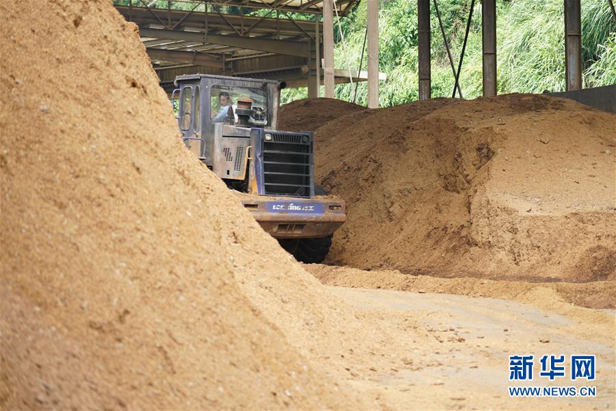 （在習近平新時代中國特色社會主義思想指引下——新時代新作為新篇章·總書記關(guān)心的百姓身邊事·圖文互動）（4）大污染變身“大寶藏”：治理畜禽糞污，他們這樣干！