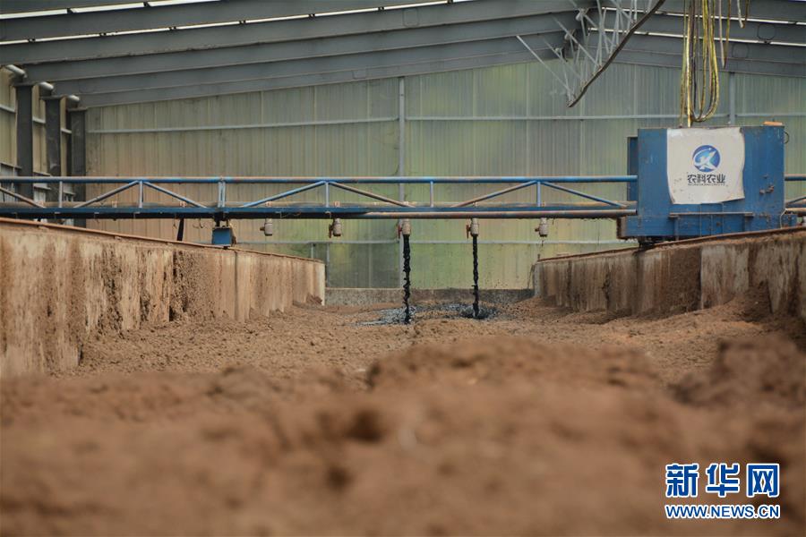 （在習近平新時代中國特色社會主義思想指引下——新時代新作為新篇章·總書記關(guān)心的百姓身邊事·圖文互動）（5）大污染變身“大寶藏”：治理畜禽糞污，他們這樣干！