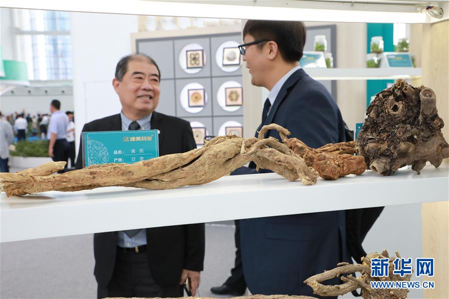 (來自一線的調(diào)查報(bào)告·圖文互動(dòng))(2)甘肅:岐黃肇始地 振興開新方