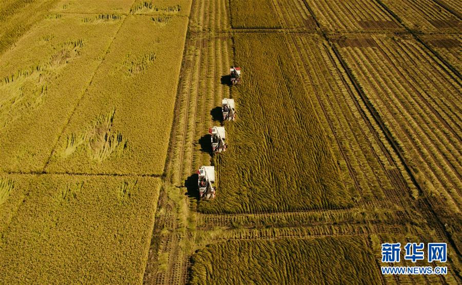 （新華全媒頭條·圖文互動(dòng)）（5）紅色的傳承，藍(lán)圖的起點(diǎn)——新中國(guó)孕育與發(fā)展的“東北記憶”