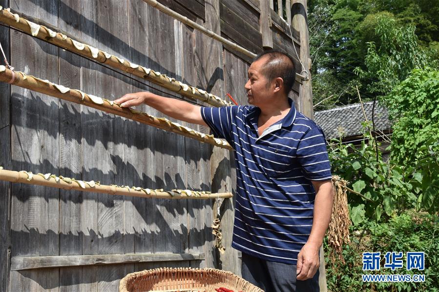 （愛國情 奮斗者·圖文互動(dòng)）（2）貴州印江高石坎護(hù)林隊(duì)：半輩子，以林場(chǎng)為家