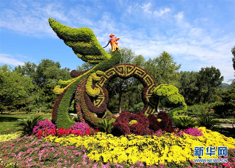 (圖文互動(dòng))(3)15萬平方米花卉扮靚首都公園