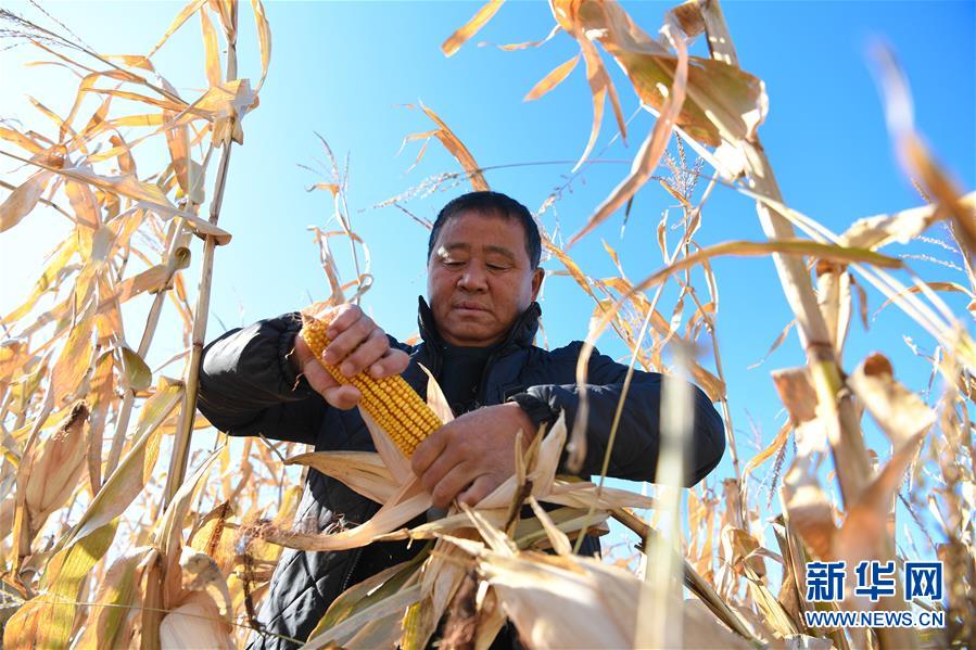 (在習(xí)近平新時(shí)代中國(guó)特色社會(huì)主義思想指引下——新時(shí)代新作為新篇章·總書(shū)記關(guān)心的百姓身邊事·圖文互動(dòng))(3)一本“村官”日記里的扶貧路——小故事里的大情懷之四