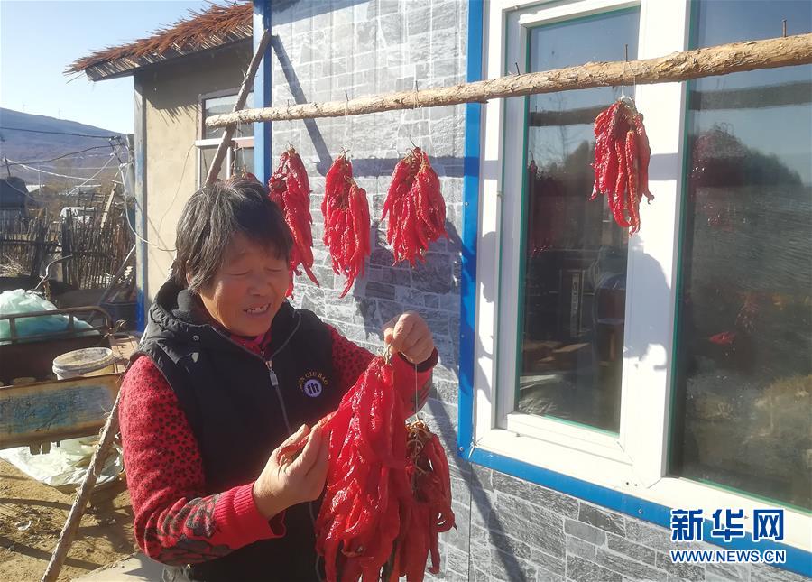 (在習近平新時代中國特色社會主義思想指引下——新時代新作為新篇章·總書記關(guān)心的百姓身邊事·圖文互動)(3)一個貧困山村的振興新動能——小故事里的大情懷之五