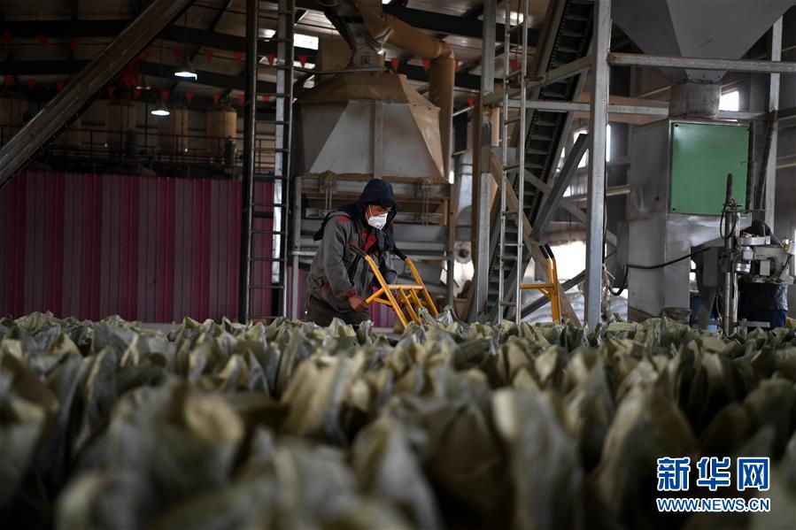 (新華全媒頭條·圖文互動)(7)為美麗中國增添綠色動力——2019年太原能源低碳發(fā)展論壇釋放綠色發(fā)展新信號