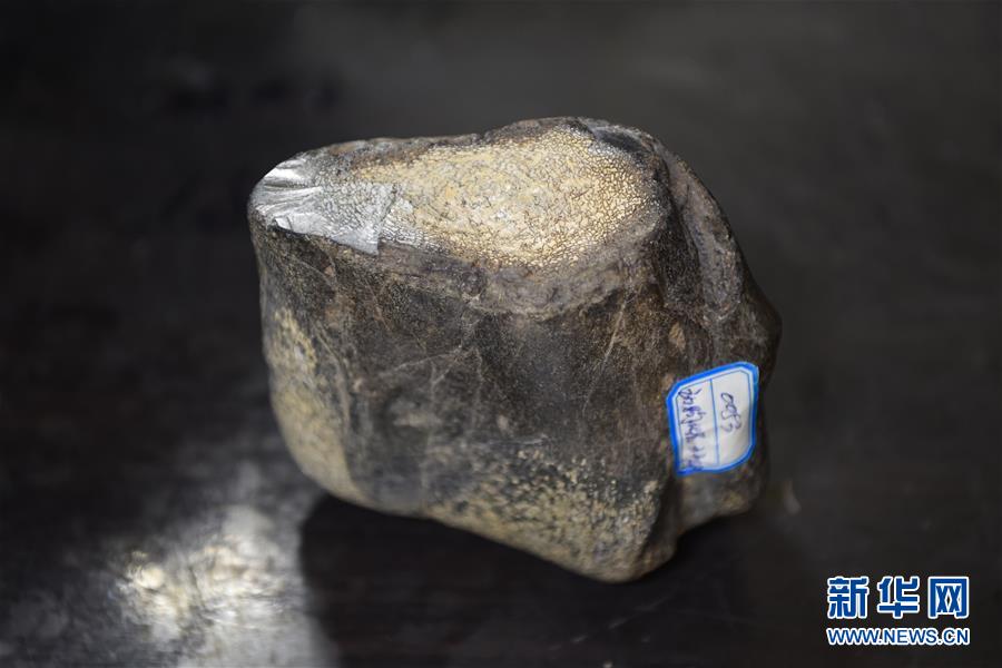 (圖文互動(dòng))(7)黑龍江海倫發(fā)現(xiàn)罕見(jiàn)古生物群