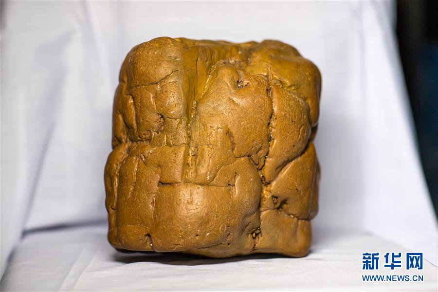 (圖文互動(dòng))(1)黑龍江海倫發(fā)現(xiàn)罕見(jiàn)古生物群