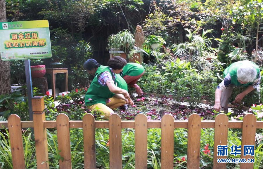 (新華全媒頭條·圖文互動)(4)上海:“三只桶”里看變化