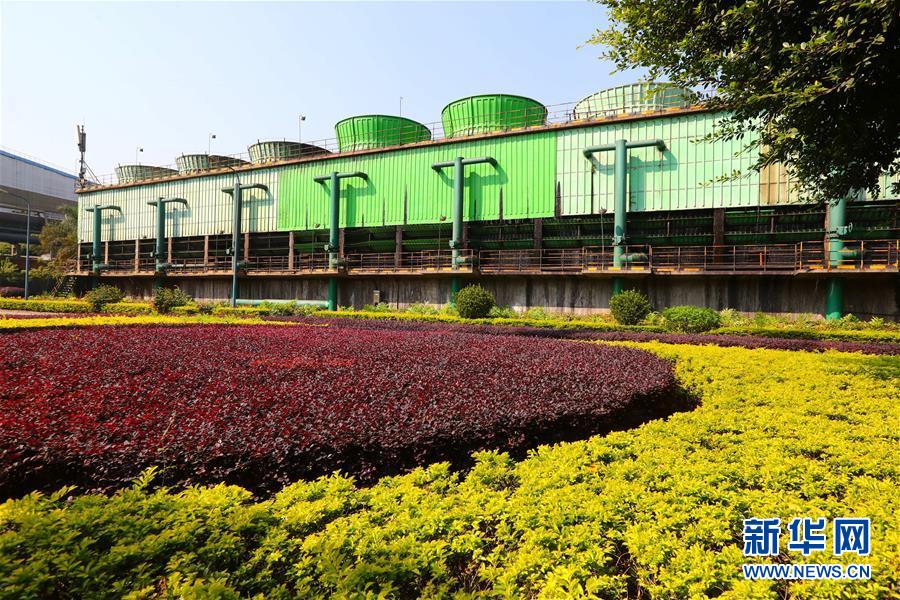 (新華全媒頭條·四中全會(huì)精神在基層·圖文互動(dòng))(4)“活優(yōu)富美”——八閩大地感受“中國(guó)之治”的生動(dòng)樣本