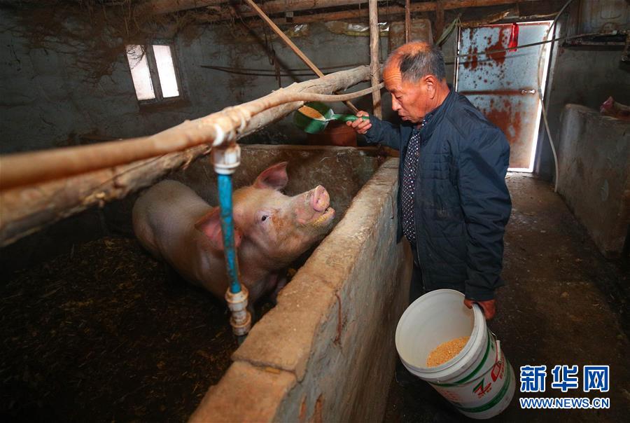 (新春走基層·圖文互動(dòng))(2)“終于有人敢登門(mén)給兒子提親了”——張景富脫貧記