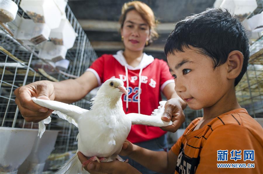 (新華全媒頭條·聚焦中國經(jīng)濟(jì)成績單·圖文互動(dòng))(10)為全面建成小康社會(huì)奠定堅(jiān)實(shí)基礎(chǔ)——從2019年數(shù)據(jù)看中國經(jīng)濟(jì)發(fā)展大勢
