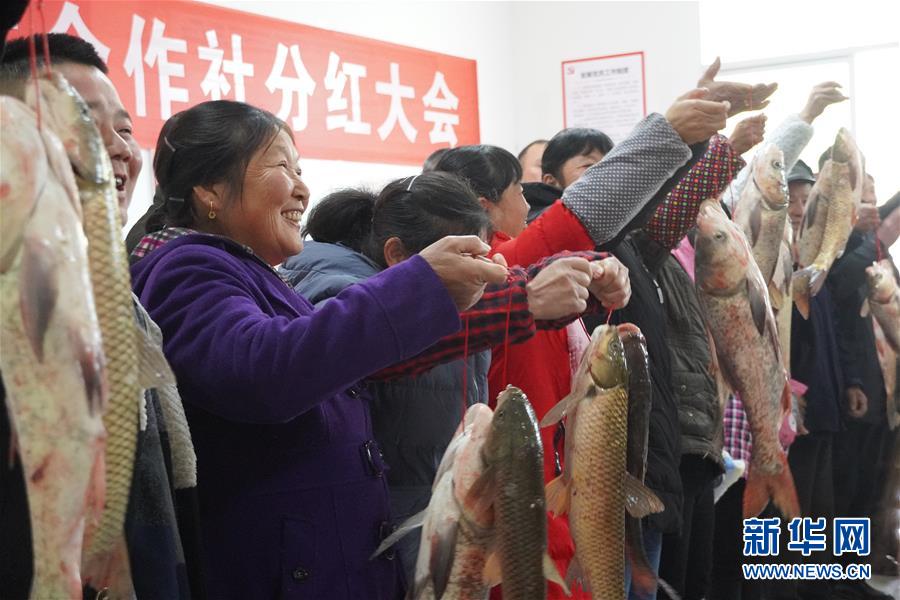 （新春走基層·圖文互動）（3）“空殼村”分紅啦！