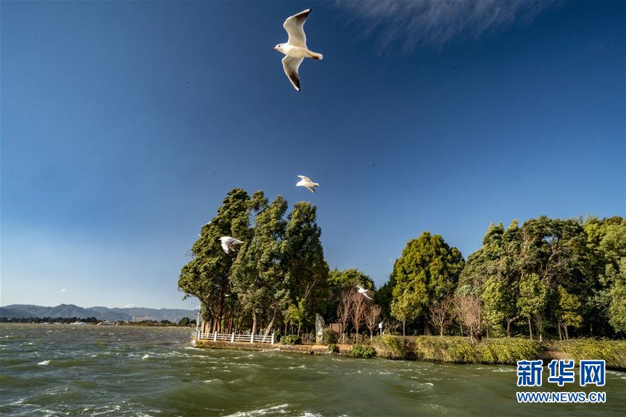 (圖文互動(dòng))(7)跨越發(fā)展起宏圖 信心滿懷著華章——習(xí)近平總書記考察云南回訪記