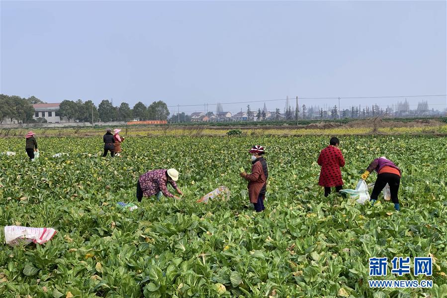 (新華全媒頭條·圖文互動)(4)努力保持生產(chǎn)生活平穩(wěn)有序——抓緊復(fù)工復(fù)產(chǎn)穩(wěn)定經(jīng)濟運行掃描