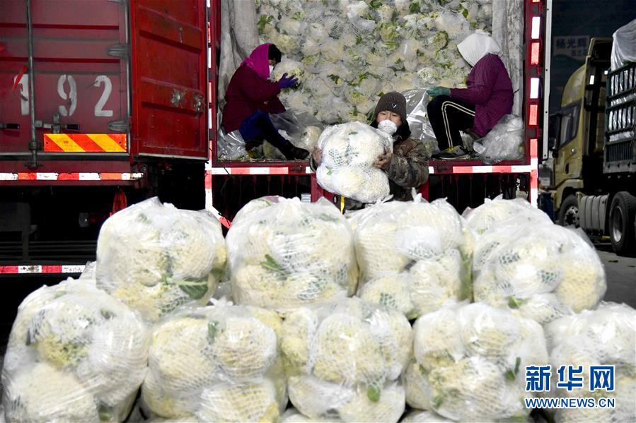 (在習(xí)近平新時(shí)代中國特色社會(huì)主義思想指引下——新時(shí)代新作為新篇章·習(xí)近平總書記關(guān)切事·圖文互動(dòng))(5)“菜籃子”里的力量——全國各地努力做好保障和改善民生工作在行動(dòng)