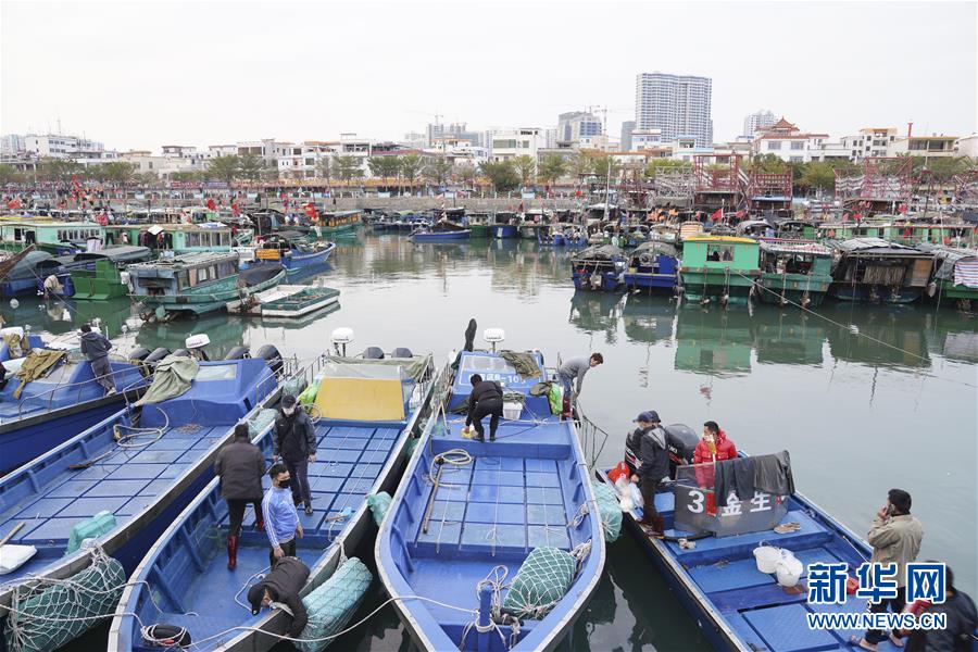(圖文互動)(1)與疫情抗爭 與春光同行——廣西農(nóng)村春耕備耕一線觀察
