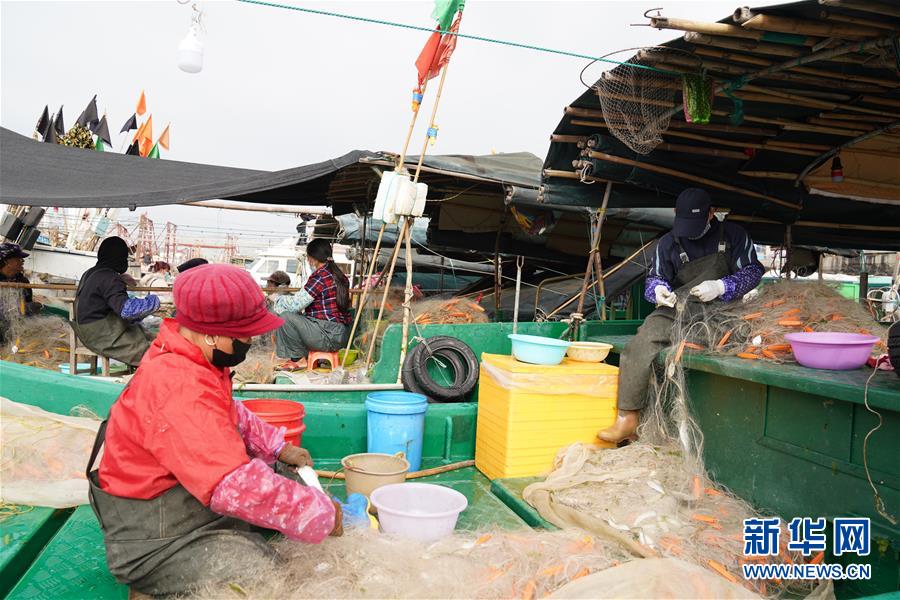 (圖文互動)(2)與疫情抗爭 與春光同行——廣西農(nóng)村春耕備耕一線觀察