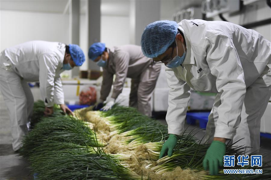 （圖文互動(dòng)）（6）“早一天復(fù)工，損失就少一點(diǎn)”——廣西以精準(zhǔn)防控推動(dòng)復(fù)工復(fù)產(chǎn)一線見(jiàn)聞